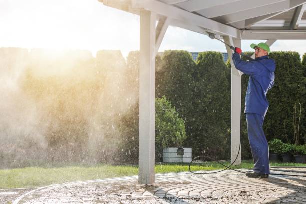 Solar Panel Cleaning in Rossville, MD